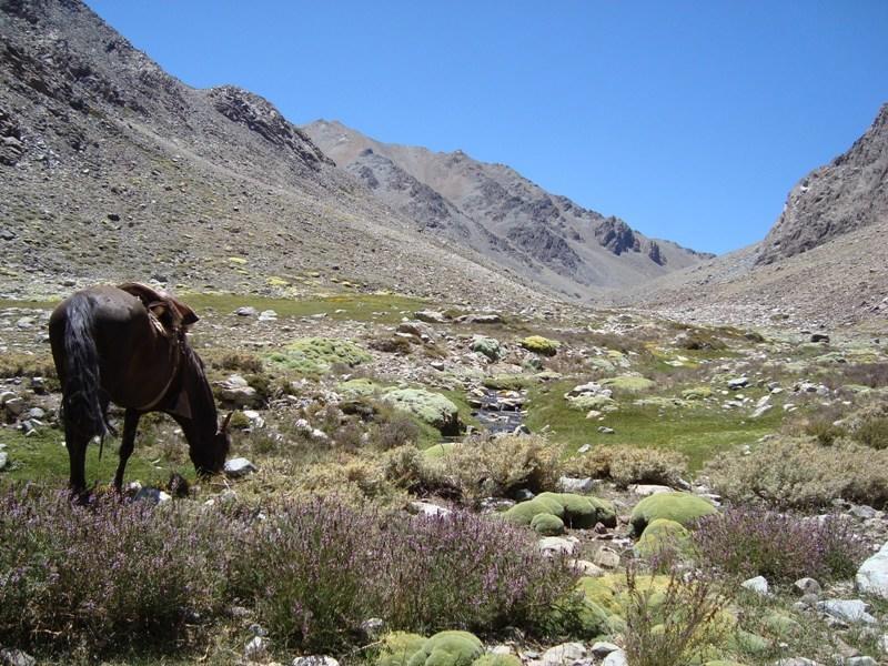 Hacienda Los Andes Villa Hurtado Екстериор снимка