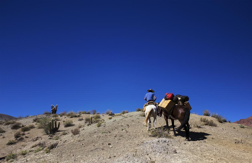 Hacienda Los Andes Villa Hurtado Екстериор снимка