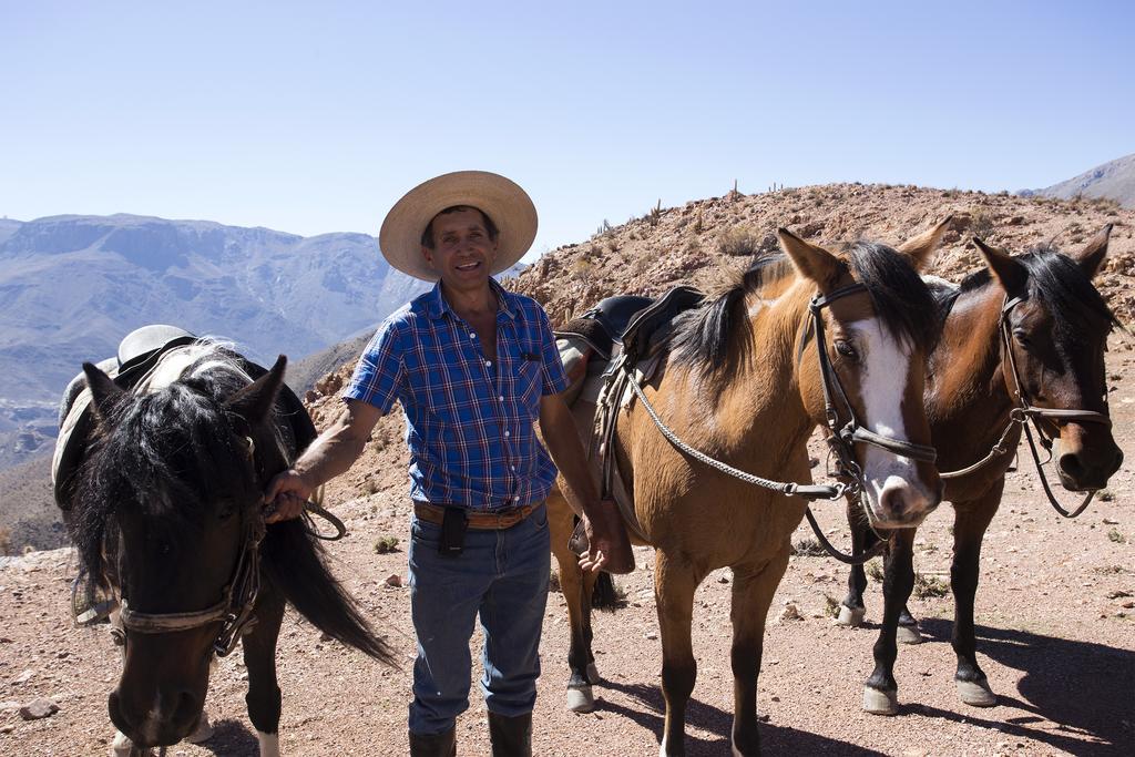 Hacienda Los Andes Villa Hurtado Екстериор снимка